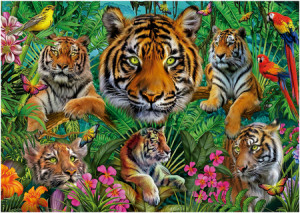 Tiger immer Dschungel