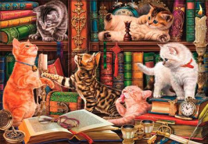 Neugierige Katzen
