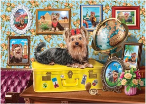 Yorkshire Terrier