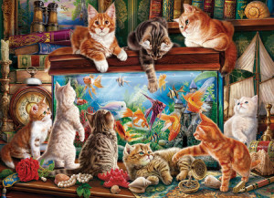Katzen am Aquarium
