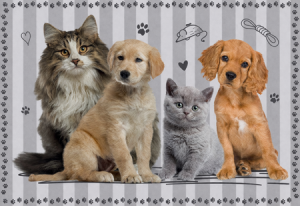 Vier Hundefreunde