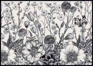 Blüten in stiller Harmonie