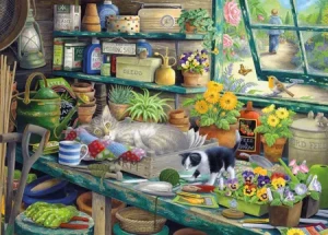 Versteck der Katzen