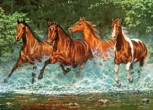 Wasserfall-Lauf