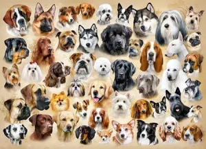 Hunde-Collage