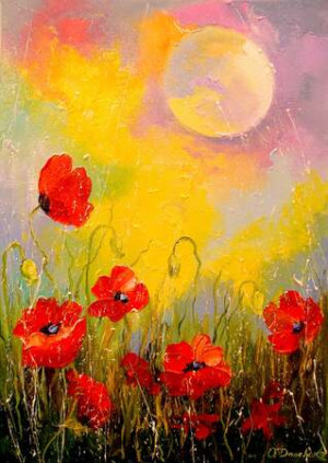 Mohnblumen im Mondlicht
