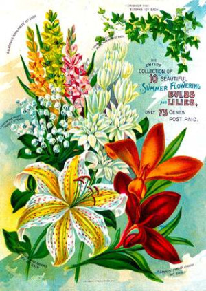 Vintage-Blumenkatalog-Kunst