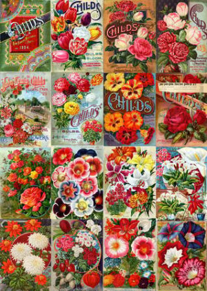 Collage mit Vintage-Blumensamen-Katalog