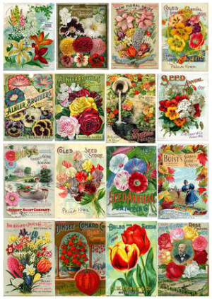 Vintage-Blumensamentüten