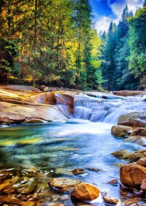 Schöner Wasserfall im Wald