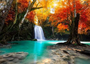 Wasserfall im Wald