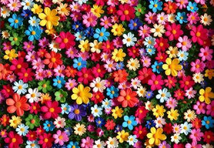 Blütenexplosion
