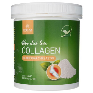 Pokusa RawDietLine Kolagen - 200 g