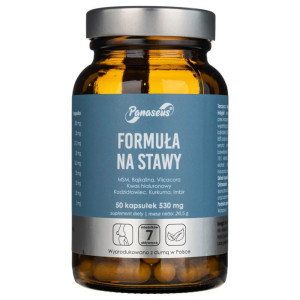 Panaseus Formuła na stawy 530 mg - 50 kapsułek