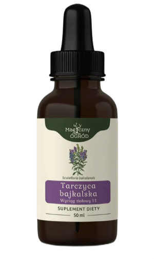 Nanga Tarczyca bajkalska nalewka - 50 ml