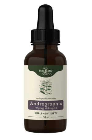 Nanga Andrographis paniculata nalewka - 50 ml