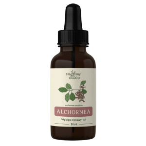 Nanga Alchornea cordifolia wyciąg ziołowy 1:1 do użytku zewnętrznego - 50 ml