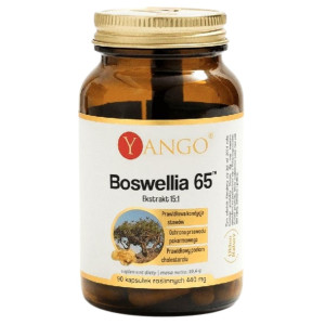 Yango Boswellia 65 440 mg - 90 kapsułek