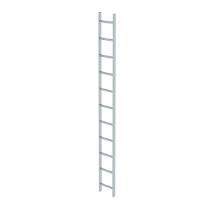 Günzburger - Schachtleiter Edelstahl V4A 300mm Lichte Weite