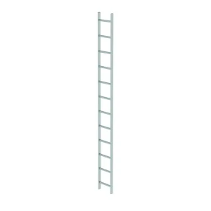 Günzburger - Schachtleiter Edelstahl V4A 300mm Lichte Weite