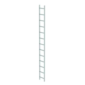 Günzburger - Schachtleiter Edelstahl V4A 300mm Lichte Weite