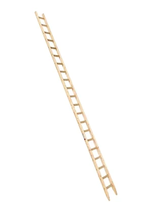 euroline Holz-Anlegeleiter | Nr.10102