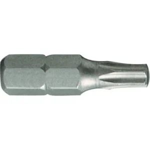 PROJAHN - 1/4" Bit TX10 mit Bohrung
