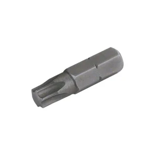 Schake - Schraubenkopfdreher Bit T 40