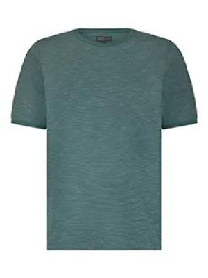 ANWB Antonio T-shirt heren Human Nature Groen M Groen male
