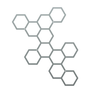 Wanddekoration aus Metall Hexagon Kletterpflanze 67×80 cm - silber