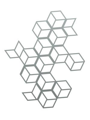 Dekoracja ścienna metalowa na rośliny pnące Trejaż Cube L 80x98 cm - srebrny