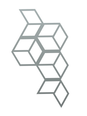 Dekoracja ścienna metalowa na rośliny pnące Trejaż Cube S 35x61 cm - srebrny