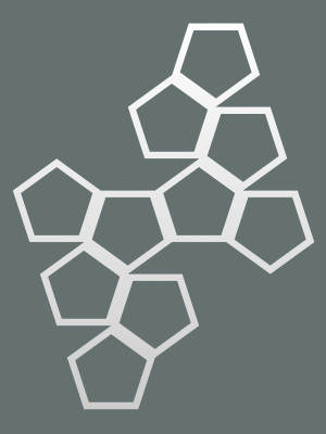 Dekoracja ścienna metalowa na rośliny pnące Trejaż Pentagon L 59x77 cm - biały matowy