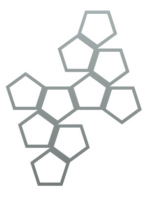 Dekoracja ścienna metalowa na rośliny pnące Trejaż Pentagon L 59x77 cm - srebrny