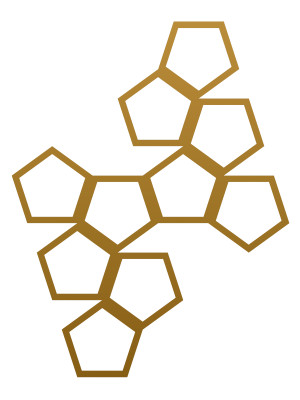 Dekoracja ścienna metalowa na rośliny pnące Trejaż Pentagon L 59x77 cm - złoty