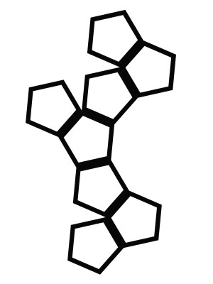 Dekoracja ścienna metalowa na rośliny pnące Trejaż Pentagon M 54x84 cm - czarny matowy
