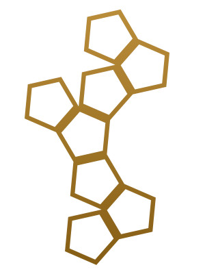 Dekoracja ścienna metalowa na rośliny pnące Trejaż Pentagon M 54x84 cm - złoty