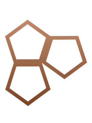 Dekoracja ścienna metalowa na rośliny pnące Trejaż Pentagon S 35x37 cm - miedziany