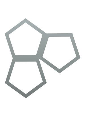 Dekoracja ścienna metalowa na rośliny pnące Trejaż Pentagon S 35x37 cm - srebrny