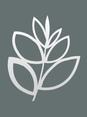 Dekoracja ścienna metalowa na rośliny pnące Trejaż Floral M 55x67 cm - biały matowy