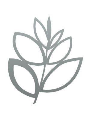 Dekoracja ścienna metalowa na rośliny pnące Trejaż Floral M 55x67 cm - srebrny