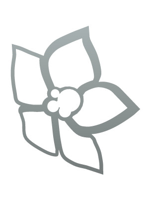 Dekoracja ścienna metalowa na rośliny pnące Trejaż Floral S 49x49 cm - srebrny