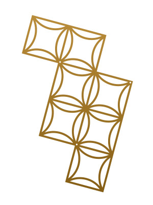 Dekoracja ścienna metalowa na rośliny pnące Trejaż Matte M 50x66 cm - złoty