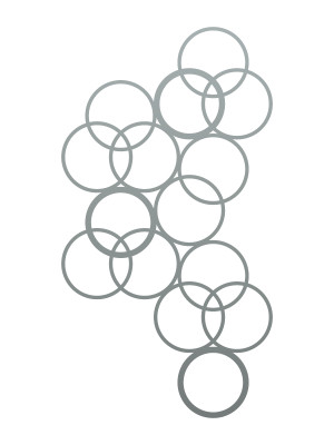 Dekoracja ścienna metalowa na rośliny pnące Trejaż Kulos M 46x86 cm - srebrny