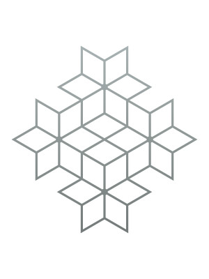 Dekoracja ścienna metalowa na rośliny pnące Trejaż Tahti M 69x69 cm - srebrny