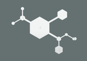 Wieszak ścienny metalowy Parts WIE154 40 cm - biały matowy