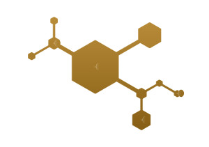 Wieszak ścienny metalowy Parts WIE154 40 cm - złoty