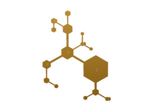 Wieszak ścienny metalowy Parts WIE154 50 cm - złoty