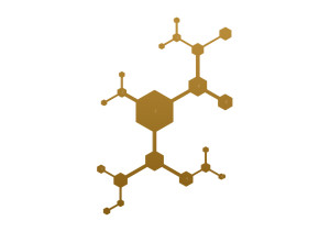 Wieszak ścienny metalowy Parts WIE154 80 cm - złoty