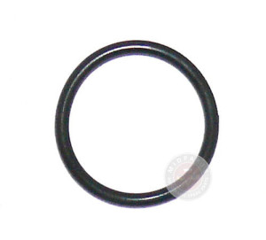 45RFE/545RFE O`ring
